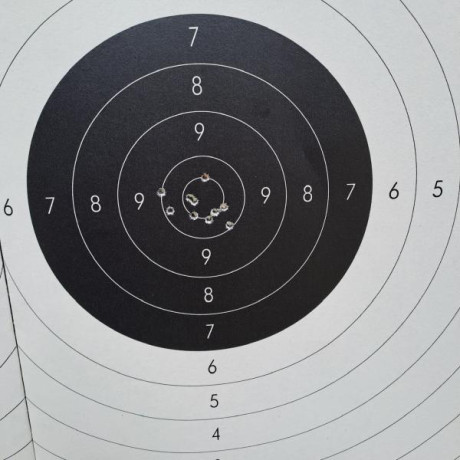 Hola amigos, estoy leyendo mucho pero por separado de nuestras queridas CZ | Brno del .22LR. Se podría 150
