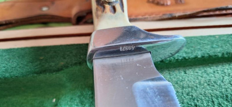 Hola, en venta cuchillo PUMA Bowie.

Precio: 700€

Un saludo. 10