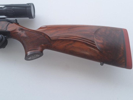 Vendo conjunto de :
Rifle Blaser R93,  cal. 338 con magnapor,  maderas seleccionadas grado 8, no hay otro 40