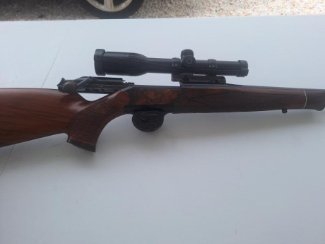 Vendo conjunto de :
Rifle Blaser R93,  cal. 338 con magnapor,  maderas seleccionadas grado 8, no hay otro 50