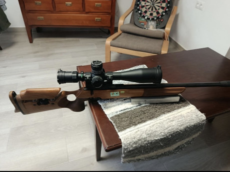 Hola, os presento mi nuevo juguete, WHALTER 22LR de 1974 especial para la modalidad “LAUFENDE SCHEIBE” 161