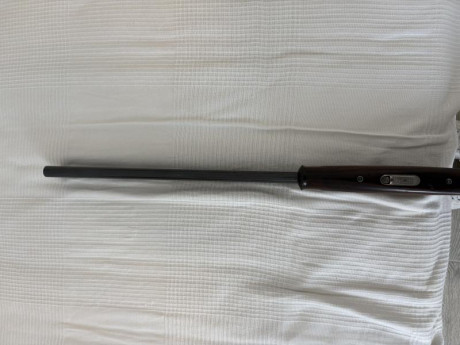Hola

Vendo preciosa escopeta BERETTA modelo 687, acabado silver pigeon V. Es calibre 20. Carrillera ajustable. 21