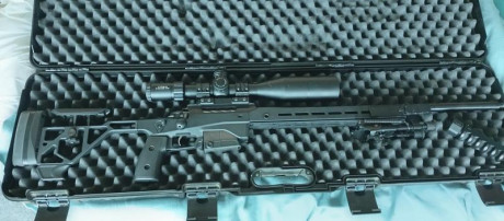 Por cambio de disciplina vendo todo:
Opción 1)
*Bergara B14 Wildernes Sierra calibre 7 mm rem mag 
*Tikka 01