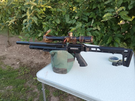 Hola
Poco hay que decir sobre esta carabina ,pues hay monton de informacion en las redes.
En mi caso buscaba 02