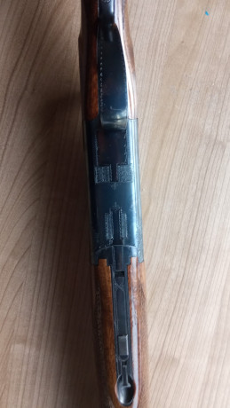 Un amigo vende un express FN ccs25 calibre 9,3x74r cañones de 66cm con monturas de uña y un aimpoint 9000l 11