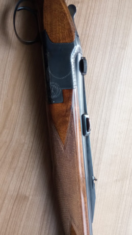Un amigo vende un express FN ccs25 calibre 9,3x74r cañones de 66cm con monturas de uña y un aimpoint 9000l 30