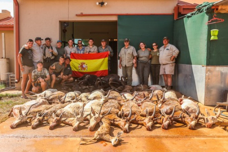 Comienzo este nuevo hilo para todos los que como yo estan bajo en "mono" de volver a Africa, 00