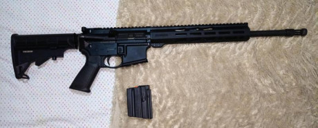 Se vende Rugueri AR-556 en .300 acc blk 16'1" de cañón.
Nueva, se compro hace 3 meses en la tienda 00