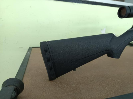 Buenos días, 

Vendo Tikkka Polyfade del 6,5 Creedmoor en 1000€. Incluye carril picatinny de acero y cantonera 11