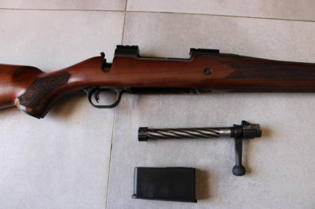 Hola. Vendo rifle MOSBERG PATRIOT WALNUT, 30-06.
Único dueño. Solo ha disparado cuatro cajas de 20, en 01