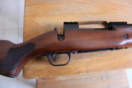 Hola. Vendo rifle MOSBERG PATRIOT WALNUT, 30-06.
Único dueño. Solo ha disparado cuatro cajas de 20, en 10