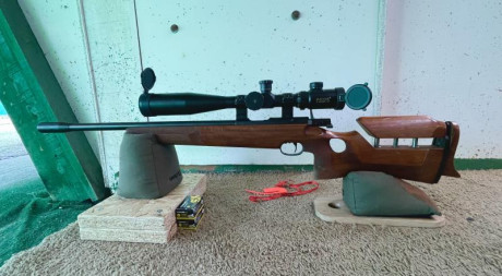 Hola, os presento mi nuevo juguete, WHALTER 22LR de 1974 especial para la modalidad “LAUFENDE SCHEIBE” 170