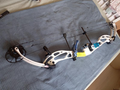 SE VENDE MAGNIFICO ARCO DE POLEAS EN MUY BUEN ESTADO EN UN PSE SUPRA FOCUS DE HASTA 50 LIBRAS 

700€ 

Valencia

Telf 01