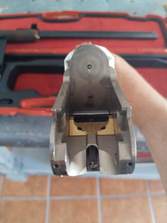 Se vende Caesar Guerini modelo INVICTUS 7 ASCENT TRAP.
Cañón de 76cm. Chokes intercambiables en ambos 01