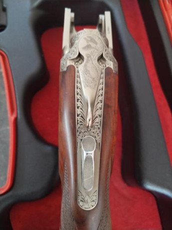 Se vende Caesar Guerini modelo INVICTUS 7 ASCENT TRAP.
Cañón de 76cm. Chokes intercambiables en ambos 00