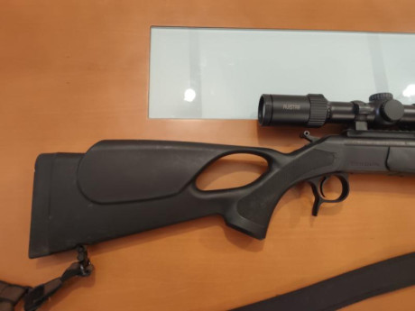 Bergara BA 13 Tumbhole, cal 243 w, con rosca homologada, monturas desmontables Warne, visor Avistar 3x12x56, 01