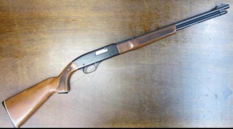 Vendo la autentica Carabina Semiatomatica WINCHESTER 290 con capacidad de 15+1 en perfecto estado. Precio 00