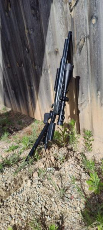 Se vende carabina HAMMERLI AR20 calibre 4.5 a 16 julios.
Está en perfectas condiciones.Perfecta para tirar 00