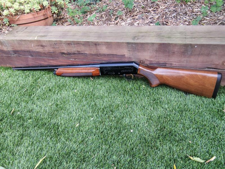  Vendo escopeta semiautomática Beretta modelo A304

* Calibre 12/70
* Ánima 18,3
* Cañón de 71cm
* Peso: 01