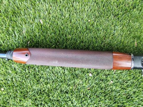  Vendo escopeta semiautomática Beretta modelo A304

* Calibre 12/70
* Ánima 18,3
* Cañón de 71cm
* Peso: 20