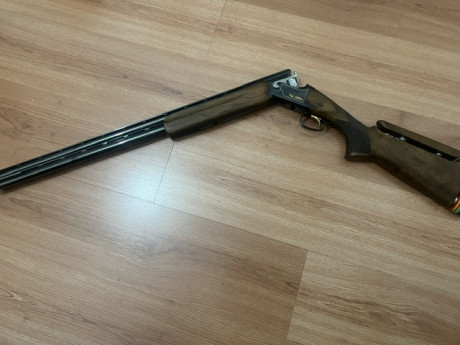 Browning Ultra Trap Plus, es la evolución de la GTI, tiene 76 cm de cañón, anima de 18,7 para menor retroceso, 02