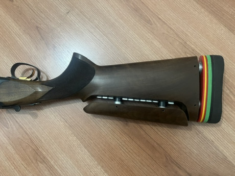 Browning Ultra Trap Plus, es la evolución de la GTI, tiene 76 cm de cañón, anima de 18,7 para menor retroceso, 00