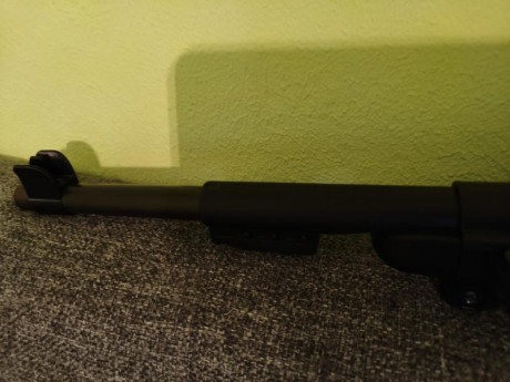 Armi Chiappa Carabina M1 Polymer 22lr: 2 cargadores, uso mínimo, estado perfecto. Sin fallos, ligera y 10