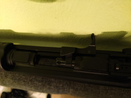 Armi Chiappa Carabina M1 Polymer 22lr: 2 cargadores, uso mínimo, estado perfecto. Sin fallos, ligera y 10