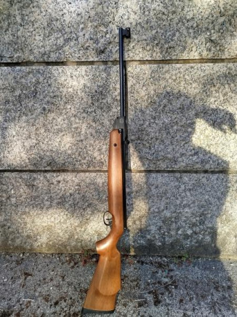 Hola , vendo Bam b26 en calibre 4.5 nueva a estrenar en su caja , la compre y use una vez  y como se que 01