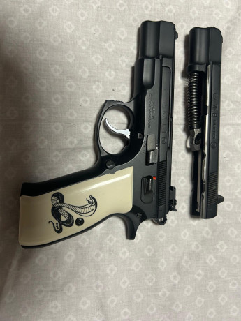 Saludos
Un compañero del club por cese de aficion vende sus pistolas.
Todas guiadas en F.

2 CZ75 con 02
