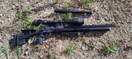 Se vende por 500 euros carabina de aire comprimido Hammerli AR20.potencia 16 julios.calibre 4.5. se vende 12