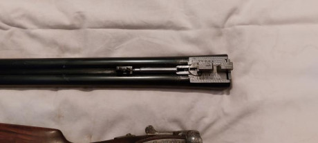 Vendo escopeta paralela marca EGO, cañones de 70 ctms. con 3 y 1 estrellas, ánima 18,5, orejetas de refuerzo, 01