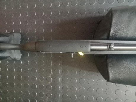 Hola a todos!

Compré hace poco una carabina semiautomática Ruger 10/22, estoy mirando visor y anillas, 00