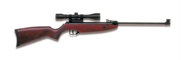 Hola. Tengo el encargo de buscar una carabina marcas Gamo o Norica. Buscamos una carabina clásica, de 10