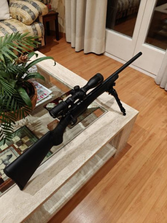 Hola,

Vendo Ceska synthetic 455 con cañon pesado varmint, 22lr.

-Visor Vector Optics Aston 3-18x44 con 02