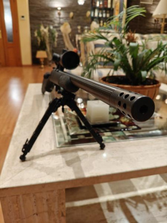Hola,

Vendo Ceska synthetic 455 con cañon pesado varmint, 22lr.

-Visor Vector Optics Aston 3-18x44 con 00
