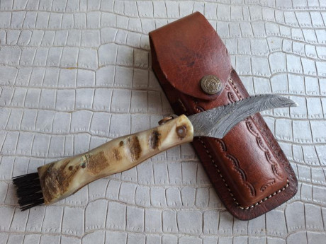 Buenas tardes compañeros,

Pongo a la venta estos cuchillos y navajas en perfecto estado

Portes dentro 81