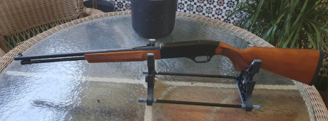 Carabina WINCHESTER modelo 290 con capacidad de 15+1 en perfecto estado. Guiada en "E". Precio 02