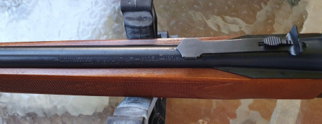 Carabina WINCHESTER modelo 290 con capacidad de 15+1 en perfecto estado. Guiada en "E". Precio 01