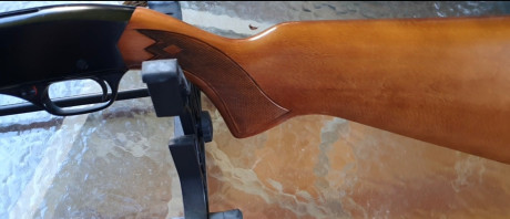 Carabina WINCHESTER modelo 290 con capacidad de 15+1 en perfecto estado. Guiada en "E". Precio 00