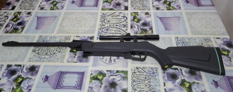 Vendo 2 carabinas Gamo Delta por 110 € el lote. Recogida en mano en zona Corredor del Henares. Buen estado 01
