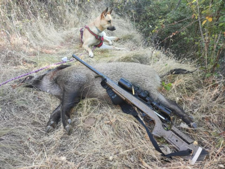 Buenos dias, habro este tema porque acabo de adquirir un bergara b14 hmr en 22 250 con paso 1:9, no tenia 40