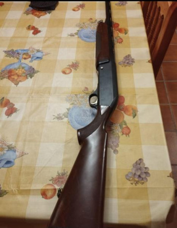 Vendo Fabarm semiautomática del 12 con choques intercambiables,  en buen estado de funcionamiento y estetico, 00