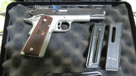 Busco este modelo de pistola en calibre 22 00