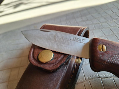 Buenas tardes compañeros,

Pongo a la venta estos cuchillos y navajas en perfecto estado

Portes dentro 51