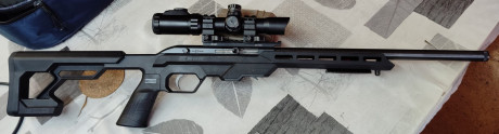 Por cambios de proyectos, voy a vender esta carabina del 22Lr, la carabina va muy fina y es precisa, pero 10