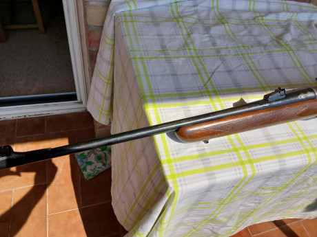Vendo Browning Bar2 300WM mod. Safari. 
Cañon de 60cm. Cantonera de espuma muy efectiva. 
Tiene 'guerra' 02