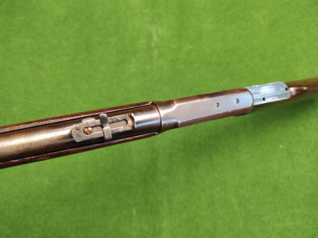 Buenas.
Un amigo del club quisiera desprenderse de algunas armas. Pongo el modelo de cada una y el precio, 30