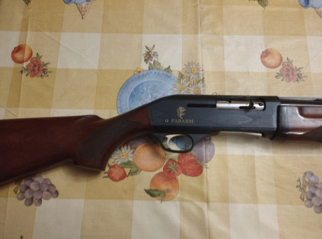Vendo Fabarm modelo Europa, 71cm, de accionamiento de gases, perfertamente cuidada y limpieza cada salida, 02