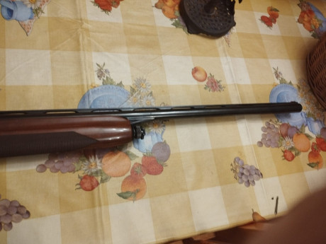 Vendo Fabarm modelo Europa, 71cm, de accionamiento de gases, perfertamente cuidada y limpieza cada salida, 01